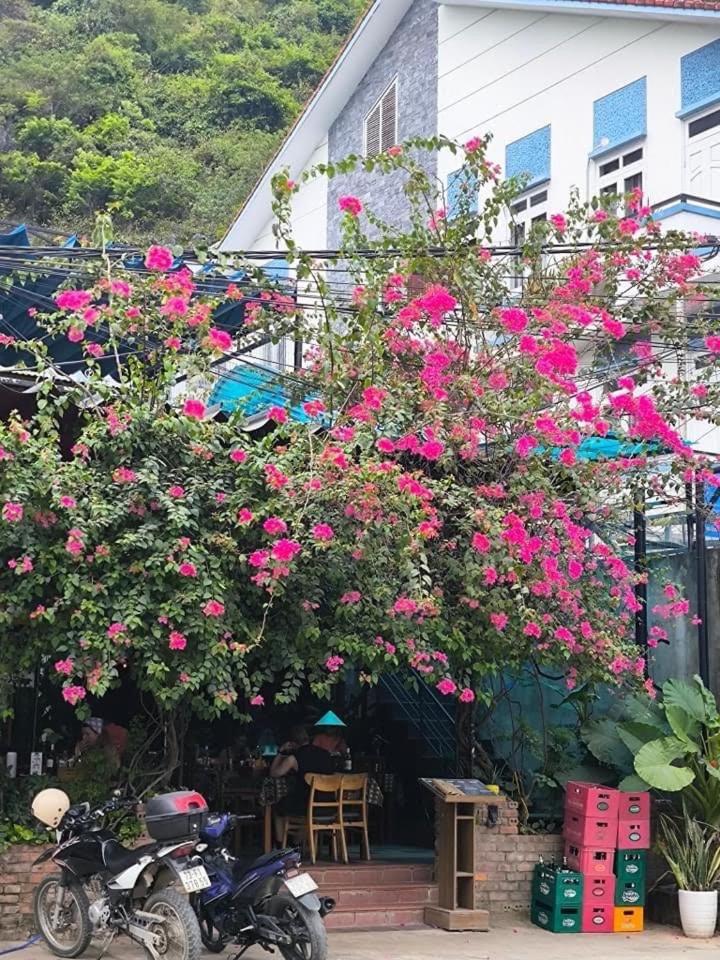 Phong Nha Jasmine Hostel & Roof Top Bar Exterior foto